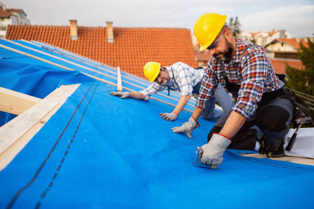 Sheet Metal Roofing in Park Falls, WI